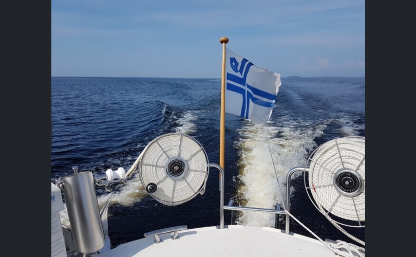 Albatross Flying 871-kuva-13